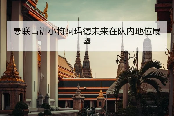 曼联青训小将阿玛德未来在队内地位展望